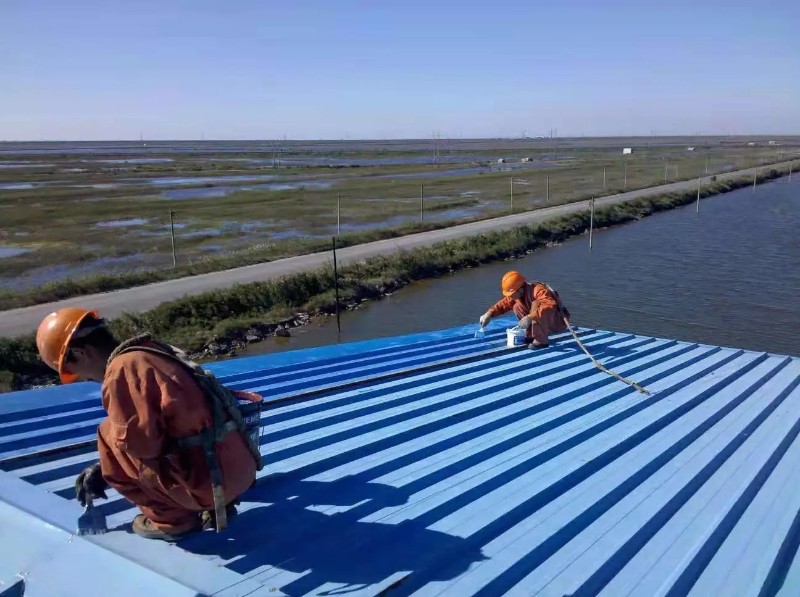 汕尾彩钢瓦屋面防腐翻新